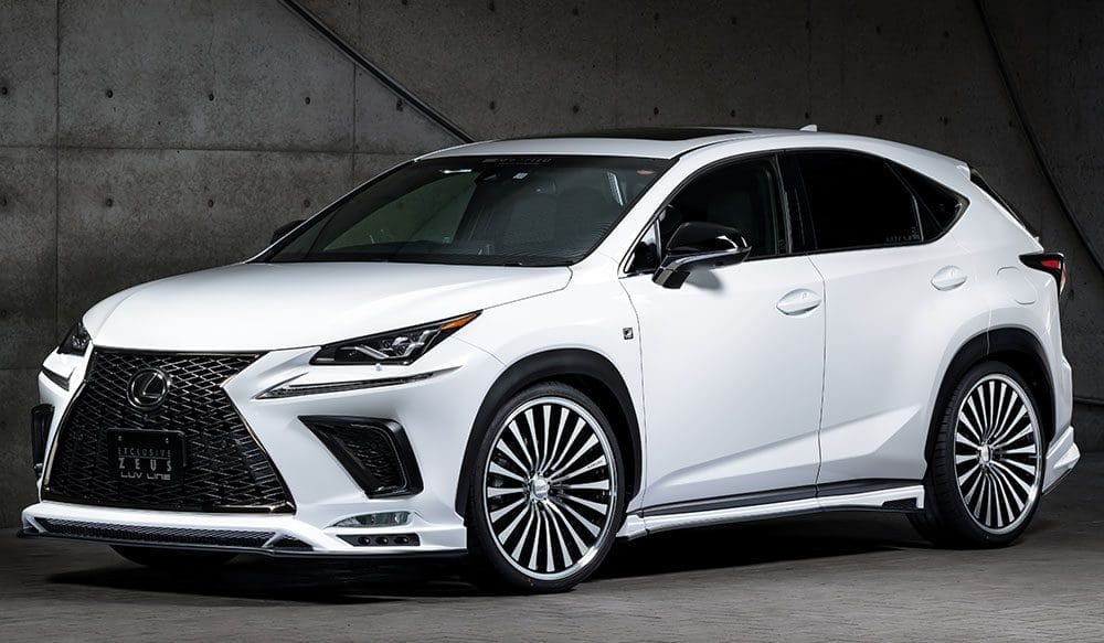 M'z SPEED LUV Line Blue Body Kit for LEXUS NX 2017~2021