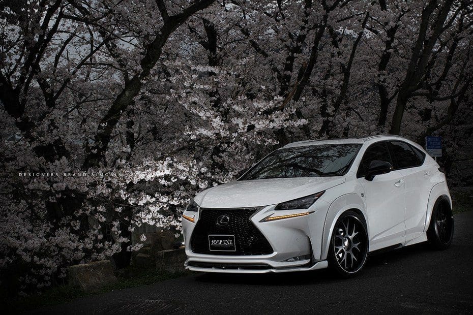 AIMGAIN VIP EXE Body kit for LEXUS NX200t/300h “F SPORT”
