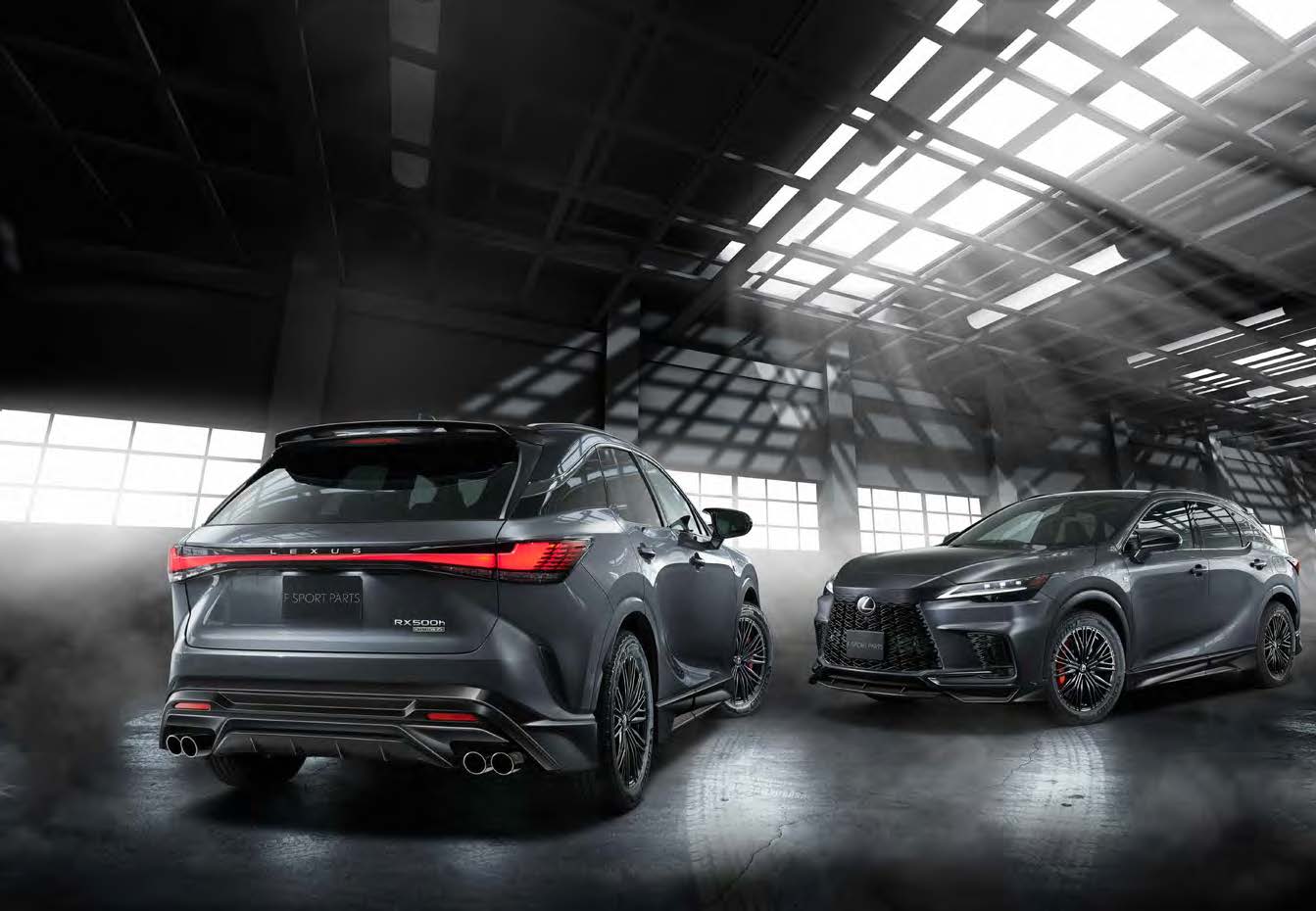 LEXUSGenuine Accessories for LEXUS RX500h/RX450h+/RX350