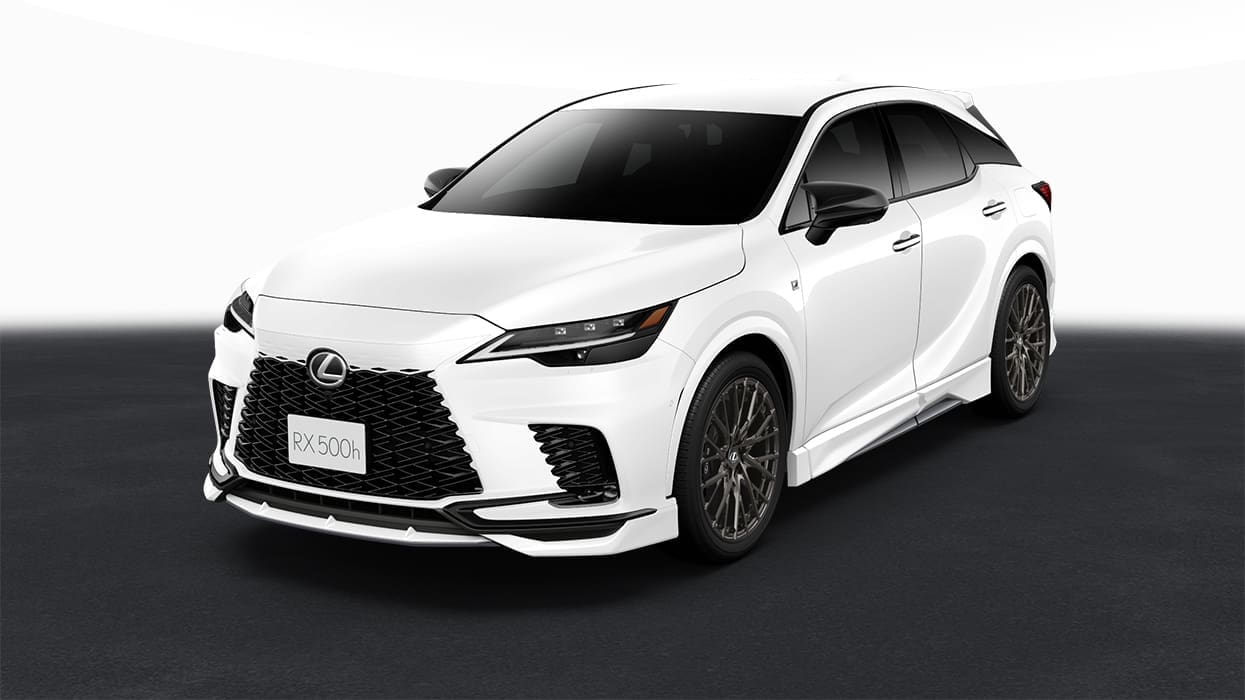 TRD Body Kit for Lexus RX F Sport 2022~