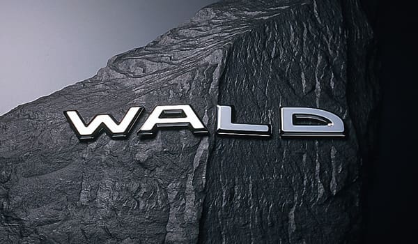WALD SEPERATE EMBLEM