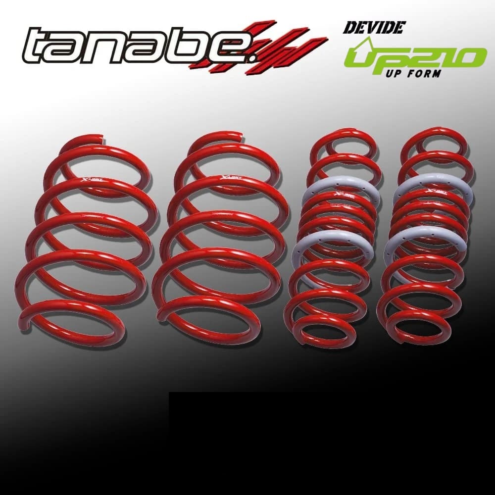 TANABE SUSTEC UP210 LIFT UP SPRING FOR LAND CRUISER 250 GDJ250W